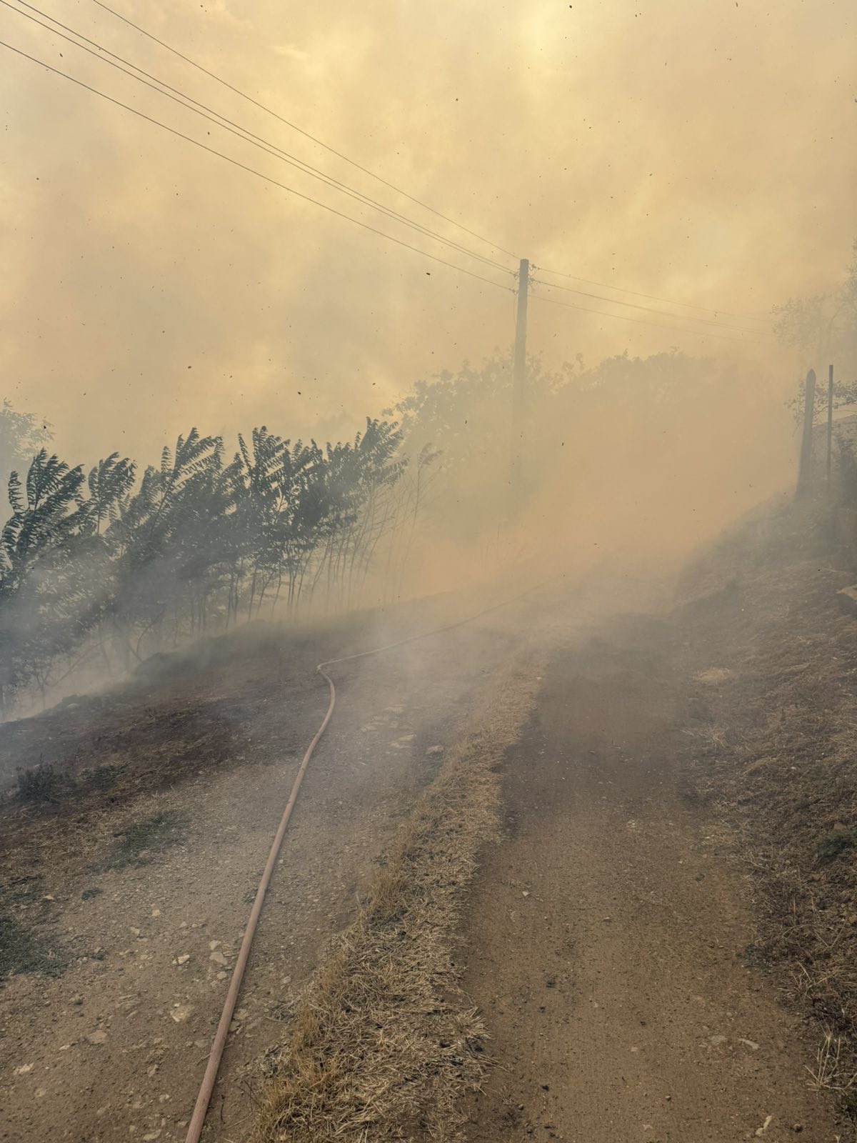 Начало Пловдив